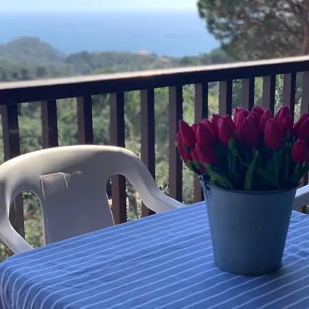 Appartement Apartamento Paco Tossa de Mar